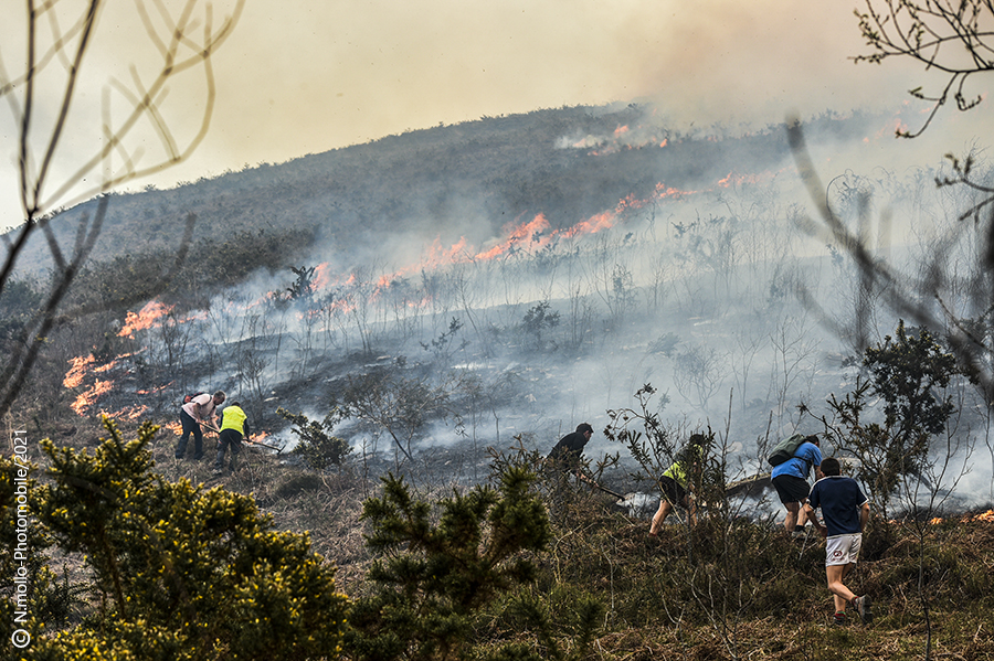 Ecobuages non maîtrisés et incendie sur Ibardin et la montagne de la Rhune.