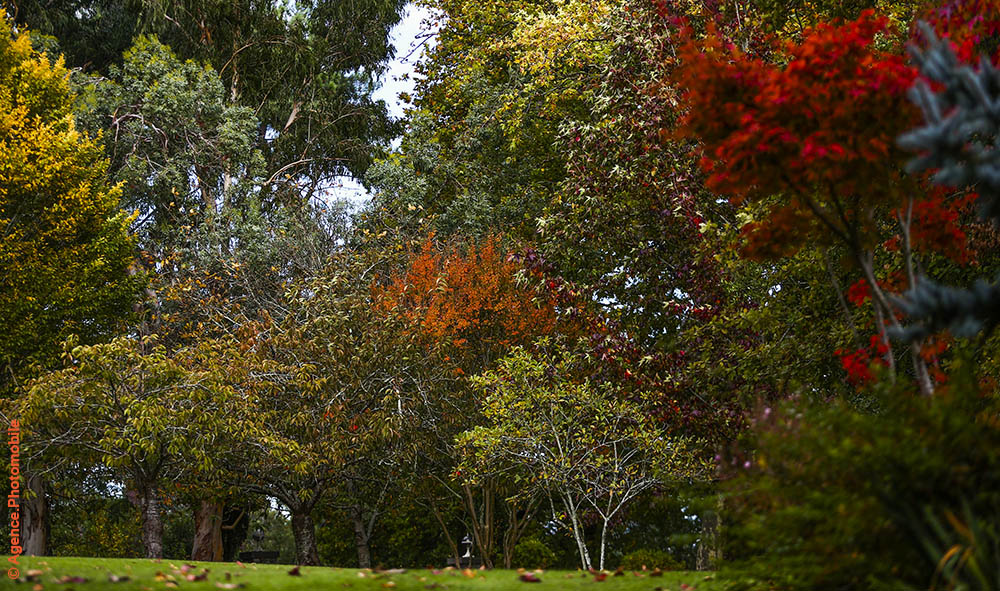 : Premier jour d’automne ce lundi 21 septembre, Dame Nature nous offre sa plus belle cuisine. Archives photo parc de la table et Hostellerie des frères Ibarboure à Bidart.