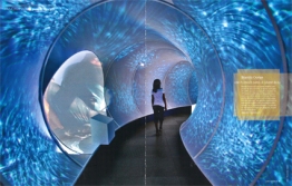 GEO VOYAGE