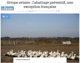 Grippe Aviaire (leparisien.fr) samedi 7 janvier 2017