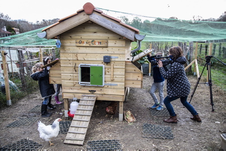 France 3 Euskal Herri Pays basque, chaine locale du Pays basque en reportage et tournage à Ahetze au Pays basque sur l'association Oilategi, un poulailler collectif mais pas que. L'association l'environnementale permet aux Aheztar de réduire leurs déchets organiques grâce à un poulailler et des composteurs partagés. L'association a pour but de sensibiliser le public aux problématiques de gaspillage alimentaire, à la réduction des déchets organiques et leur valorisation, d'encourager les initiatives en faveur de l'environnement et au recyclage. La biodiversité est mise en avant par le choix d'une race locale basque, les poules de race Euskal Oiloa. Le poulailler collectif est un lieu de rencontres et d'échanges, vecteur de lien social, et ce lien est renforcé par une plateforme innovante et connectée. Ce poulailler associatif se trouve au sein des Jardins Partagés du village pour un partenariat autour de la Nature.
France 3 Euskal Herri Pays basque, local channel from the Basque Country reporting and filming in Ahetze in the Basque Country on the Oilategi association, a collective henhouse but not only. The environmental association allows the Aheztar to reduce their organic waste thanks to a shared henhouse and composters. The association aims to raise public awareness of food waste issues, to reduce organic waste and its recovery, to encourage initiatives in favor of the environment and recycling. Biodiversity is highlighted by the choice of a local Basque breed, the Euskal Oiloa hens. The collective henhouse is a place of meetings and exchanges, a vector of social links, and this link is reinforced by an innovative and connected platform. This associative henhouse is located within the Shared Gardens of the village for a partnership around Nature.
Ahetze, Pays basque, 64 , Nouvelle Aquitaine, Pyrénées Atlantiques, Sud Ouest, South West, France, Europe.New Aquitaine, Basque Country.