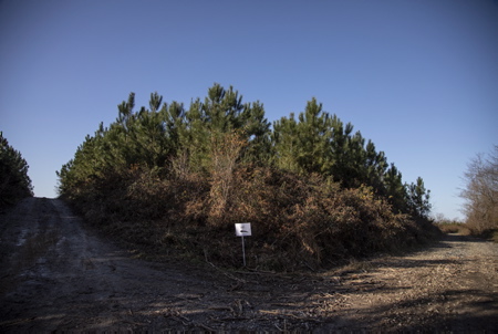 TGV-LGV et GPSO, marche du dimanche 19 décembre. Une stèle plantée sur la commune de Saint Pée Sur Nivelle, en bordure de la commune d'Ahetze au Pays basque met en avant ce site convoité par le projet de la ligne LGV. GPSO ( Grand projet ferroviaire du Sud Ouest.) La communauté d'agglomération du Pays basque est la dernière des onze collectivités de Nouvelle-Aquitaine à rejeter le plan de financement GPSO et voté contre le projet de Ligne Grande Vitesse au Sud de Bordeaux, qui comporte le tronçon Bordeaux-Dax, dont le coût s'élève à plus de 14 milliards au total.
TGV-LGV and GPSO, walk on Sunday December 19. A stele planted in the town of Saint Pée Sur Nivelle, on the edge of the town of Ahetze in the Basque Country, highlights this site coveted by the LGV line project. GPSO (Great South West Railway Project.) The Basque Country urban community is the last of the eleven communities in Nouvelle-Aquitaine to reject the GPSO financing plan and voted against the High Speed ??Line project south of Bordeaux, which includes the Bordeaux-Dax section, the cost of which amounts to more than 14 billion in total.
Saint Pée Sur Nivelle, Pays basque, Côte basque, 64 , Nouvelle Aquitaine, Pyrénées Atlantiques, Sud Ouest, France, Europe. New Aquitaine, Basque Country.