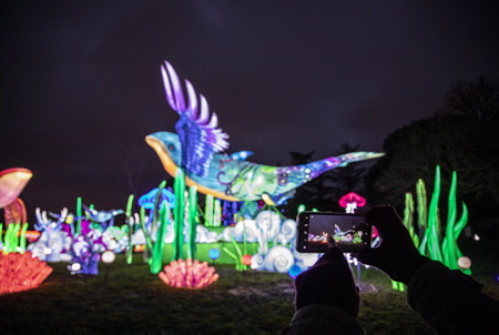 Festival Des Lanternes 2021 à Blagnac avec pour thème "Vol au dessus du merveilleux" du 1er décembre 2021 et jusquau 1er février 2022, Blagnac, capitale de laéronautique, le Festival des Lanternes s'installe dans le magnifique Parc du Ritouret. Un espace de 10 hectares, de quoi émerveiller les visiteurs qui dès la tombée de la nuit pourront découvrir près de 2500 lanternes géantes: Pandas, dragon qui investit le lac, lépopée de laéropostale, des scènes de vie chinoise mais aussi les légendes mythiques et spectaculaires comme le jurassique parc des dinosaures !

Festival Des Lanternes Blagnac with the theme "Flight over the marvelous" from December 1, 2021 and until February 1, 2022, Blagnac, capital of aeronautics, the Lantern Festival takes place in the magnificent Parc du Ritouret. A space of 10 hectares, enough to amaze visitors who, as soon as night falls, will be able to discover nearly 2,500 giant lanterns: Pandas, dragon that invades the lake, the epic of the airmail, scenes of Chinese life but also the mythical and spectacular legends like Jurassic Dinosaur Park!

Blagnac, Haute-Garonne, Occitanie, France, Europe.