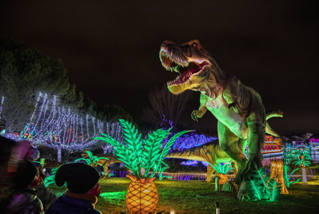 Festival Des Lanternes 2021 à Blagnac avec pour thème "Vol au dessus du merveilleux" du 1er décembre 2021 et jusquau 1er février 2022, Blagnac, capitale de laéronautique, le Festival des Lanternes s'installe dans le magnifique Parc du Ritouret. Un espace de 10 hectares, de quoi émerveiller les visiteurs qui dès la tombée de la nuit pourront découvrir près de 2500 lanternes géantes: Pandas, dragon qui investit le lac, lépopée de laéropostale, des scènes de vie chinoise mais aussi les légendes mythiques et spectaculaires comme le jurassique parc des dinosaures !

Festival Des Lanternes Blagnac with the theme "Flight over the marvelous" from December 1, 2021 and until February 1, 2022, Blagnac, capital of aeronautics, the Lantern Festival takes place in the magnificent Parc du Ritouret. A space of 10 hectares, enough to amaze visitors who, as soon as night falls, will be able to discover nearly 2,500 giant lanterns: Pandas, dragon that invades the lake, the epic of the airmail, scenes of Chinese life but also the mythical and spectacular legends like Jurassic Dinosaur Park!

Blagnac, Haute-Garonne, Occitanie, France, Europe.
