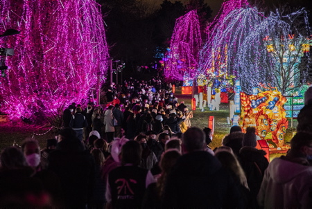 Festival Des Lanternes 2021 à Blagnac avec pour thème "Vol au dessus du merveilleux" du 1er décembre 2021 et jusquau 1er février 2022, Blagnac, capitale de laéronautique, le Festival des Lanternes s'installe dans le magnifique Parc du Ritouret. Un espace de 10 hectares, de quoi émerveiller les visiteurs qui dès la tombée de la nuit pourront découvrir près de 2500 lanternes géantes: Pandas, dragon qui investit le lac, lépopée de laéropostale, des scènes de vie chinoise mais aussi les légendes mythiques et spectaculaires comme le jurassique parc des dinosaures !

Festival Des Lanternes Blagnac with the theme "Flight over the marvelous" from December 1, 2021 and until February 1, 2022, Blagnac, capital of aeronautics, the Lantern Festival takes place in the magnificent Parc du Ritouret. A space of 10 hectares, enough to amaze visitors who, as soon as night falls, will be able to discover nearly 2,500 giant lanterns: Pandas, dragon that invades the lake, the epic of the airmail, scenes of Chinese life but also the mythical and spectacular legends like Jurassic Dinosaur Park!

Blagnac, Haute-Garonne, Occitanie, France, Europe.
