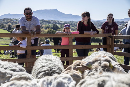 Le salon de l'agriculture Basque LURRAMA avec sa 16e édition 2021, à été un des salon le plus revendicatif depuis sa création en 2005, avec en tête, les problèmes du foncier agricole et la spéculation immobilière. Une édition très spéciale, délocalisée à Arbona (Arbonne) sur des terres occupées depuis une centaine de jours par les associations Lurzaindia (sauvegarde de terres agricoles) et Euskal Laborarien Batasuna-ELB (Confédération Paysanne du Pays Basque), l'ensemble soutenus par le collectif "BOST" composé de paysans et de citoyens.
The Basque agricultural fair LURRAMA with its 16th edition in 2021, has been one of the most demanding exhibitions since its creation in 2005, with in mind the problems of agricultural land and real estate speculation. A very special edition, relocated to Arbona (Arbonne) on land occupied for a hundred days by the associations Lurzaindia (safeguarding agricultural land) and Euskal Laborarien Batasuna-ELB (Confédération Paysanne du Pays Basque), all supported by the collective "BOST" made up of peasants and citizens.
Arbonne, Pays basque, 64 , Nouvelle Aquitaine, Pyrénées Atlantiques, Sud Ouest, France, Europe.
New Aquitaine, Basque Country.