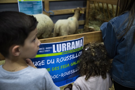 LURRAMA La ferme au Pays Basque à la Halle d'Iraty de Biarritz sur la côte basque le 12 novembre 2022, LURRAMA est un salon de l'agriculture Paysanne basque conçu par l'association EHLG (Euskal Herriko Laborantza Ganbara)  pour promouvoir l'agriculture paysanne et durable, respectueuse des hommes et de la nature.

LURRAMA The farm in the Basque Country at the Halle d'Iraty in Biarritz on the Basque coast on November 12, 2022, LURRAMA is a Basque peasant agriculture fair designed by the EHLG association (Euskal Herriko Laborantza Ganbara) to promote agriculture peasant and sustainable, respectful of people and nature.

Biarritz, Pays Basque, Region Nouvelle-Aquitaine, Pyrenees-Atlantiques France, Europe.
Basque Country, New Aquitaine Region



