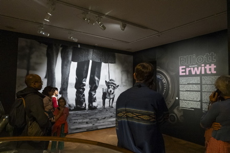 Elliot Erwitt est mort le 29 novembre 2023 à l'age de 95 ans.Ici sa dernière exposition été 2023 : Elliot Erwitt Une rétrospective Humanisme, ironie et humour, exposition au Musée Maillol de Paris conçue et réalisée par Tempora en étroite collaboration avec Magnum Photos et le Musée Maillol. L'exposition « Elliott Erwitt. A Retrospective » est un hommage à l'un des photographes les plus importants du XXe siècle, membre de Magnum Photos depuis 1954. L'exposition présente son travail à travers une collection de 215 photographies en noir et blanc et en couleur. L'exposition met en valeur la diversité des thèmes abordés par le photographe ainsi que l'unité de son style. Il capture des instants du quotidien avec une perspective qui n'appartient qu'à lui et allie humour et émotion.
Elliot Erwitt died on November 29, 2023 at the age of 95. Here his last exhibition summer 2023: Elliot Erwitt A retrospective Humanism, irony and humor, exhibition at the Maillol Museum in Paris designed and produced by Tempora in close collaboration with Magnum Photos and the Maillol Museum. The exhibition “Elliott Erwitt. A Retrospective” is a tribute to one of the most important photographers of the 20th century, a member of Magnum Photos since 1954. The exhibition presents his work through a collection of 215 black and white and color photographs. The exhibition highlights the diversity of themes addressed by the photographer as well as the unity of his style. He captures everyday moments with a perspective that is unique to him and combines humor and emotion.
Paris, Paris Centre, Ile de France, Région Ile de France, 75, europe, France.