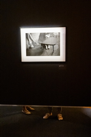 Elliot Erwitt est mort le 29 novembre 2023 à l'age de 95 ans.Ici sa dernière exposition été 2023 : Elliot Erwitt Une rétrospective Humanisme, ironie et humour, exposition au Musée Maillol de Paris conçue et réalisée par Tempora en étroite collaboration avec Magnum Photos et le Musée Maillol. L'exposition « Elliott Erwitt. A Retrospective » est un hommage à l'un des photographes les plus importants du XXe siècle, membre de Magnum Photos depuis 1954. L'exposition présente son travail à travers une collection de 215 photographies en noir et blanc et en couleur. L'exposition met en valeur la diversité des thèmes abordés par le photographe ainsi que l'unité de son style. Il capture des instants du quotidien avec une perspective qui n'appartient qu'à lui et allie humour et émotion.
Elliot Erwitt died on November 29, 2023 at the age of 95. Here his last exhibition summer 2023: Elliot Erwitt A retrospective Humanism, irony and humor, exhibition at the Maillol Museum in Paris designed and produced by Tempora in close collaboration with Magnum Photos and the Maillol Museum. The exhibition “Elliott Erwitt. A Retrospective” is a tribute to one of the most important photographers of the 20th century, a member of Magnum Photos since 1954. The exhibition presents his work through a collection of 215 black and white and color photographs. The exhibition highlights the diversity of themes addressed by the photographer as well as the unity of his style. He captures everyday moments with a perspective that is unique to him and combines humor and emotion.
Paris, Paris Centre, Ile de France, Région Ile de France, 75, europe, France.